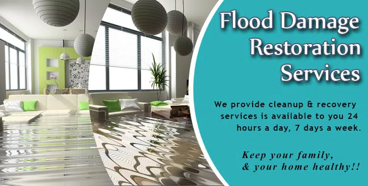 #bslide2 logo-image - banner-2